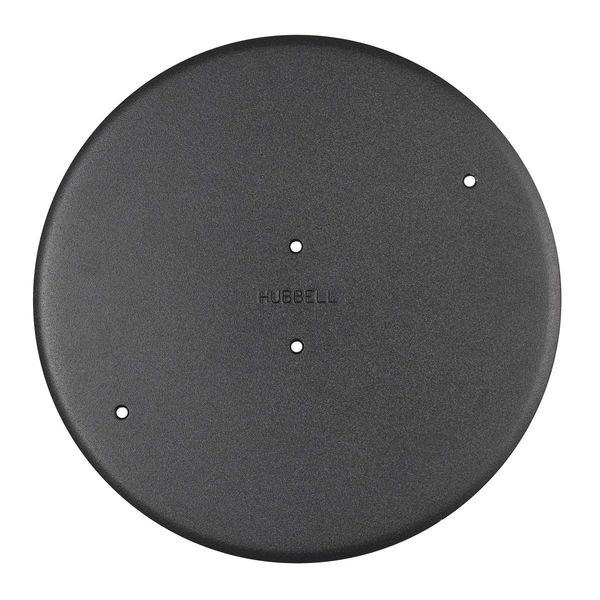 Hubbell Wiring Device-Kellems Electrical Box Cover, Round, Aluminum, Abandonmant S1R10ADMTBK